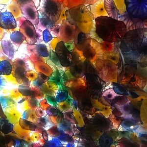 Meet your Posher, Monica